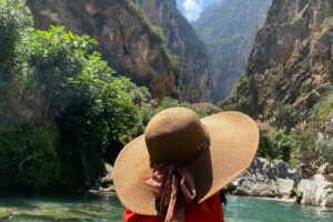 WhatsApp Image 2026-01-23 at 2.25.56 PM