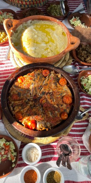 WhatsApp Image 2026-01-23 at 2.15.32 PM